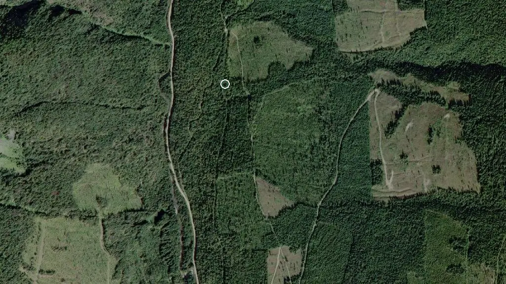 Aerial view of Yew Cabin and surroundings