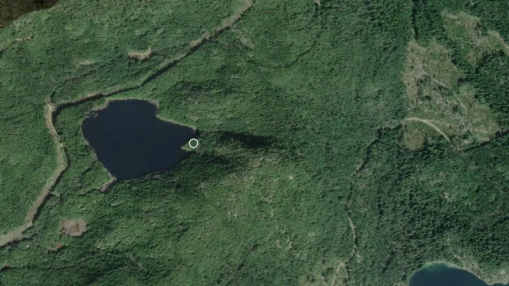 Aerial view of Rainy Day Lake Hut and surroundings