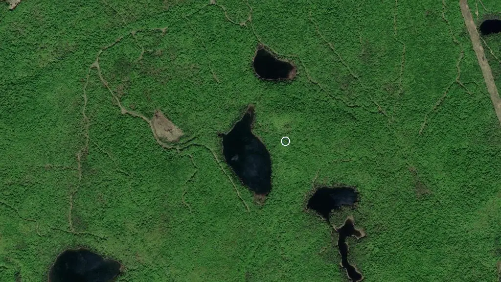 Aerial view of Sam Lake Cabin and surroundings