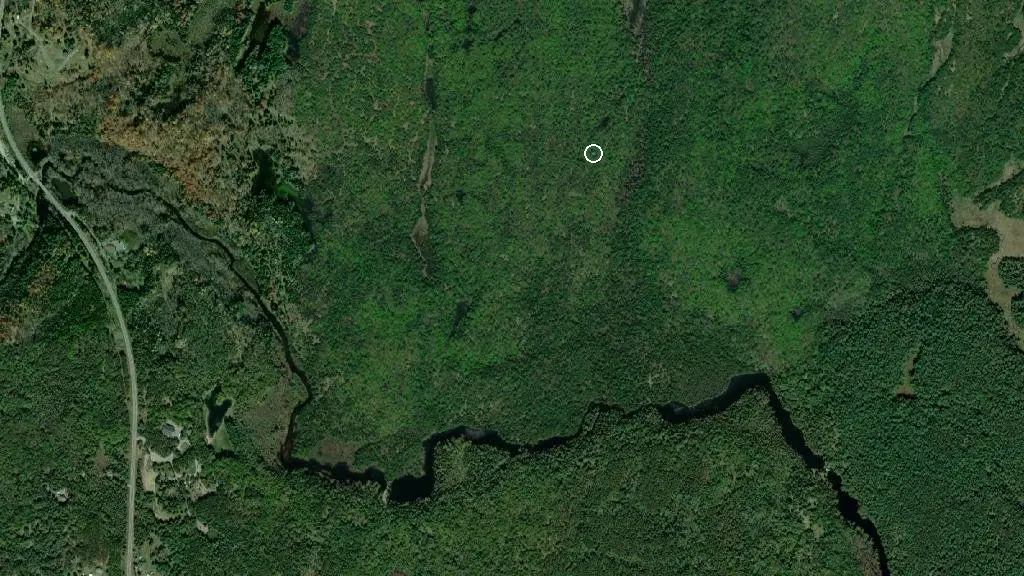 Aerial view of Laderach Cabin and surroundings